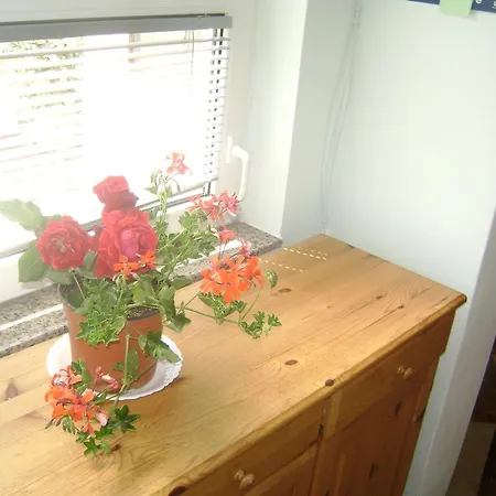 Apartment Nada Banjole Room photo